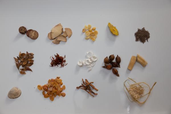 Phytotherapie TCM - Chinesische Kräuter
