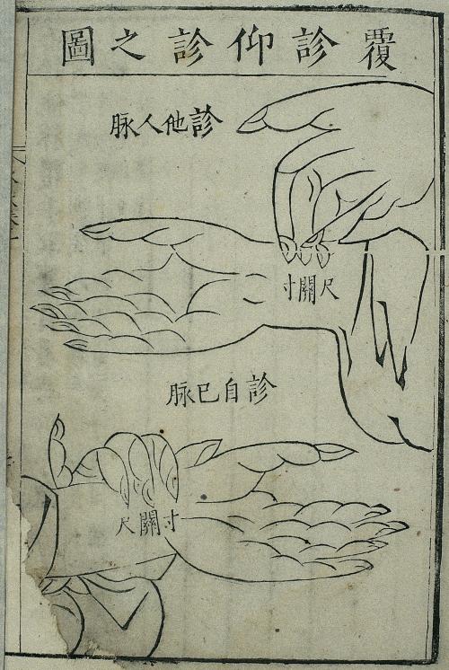 Chinesische Medizin TCM - Pulsdiagnostik